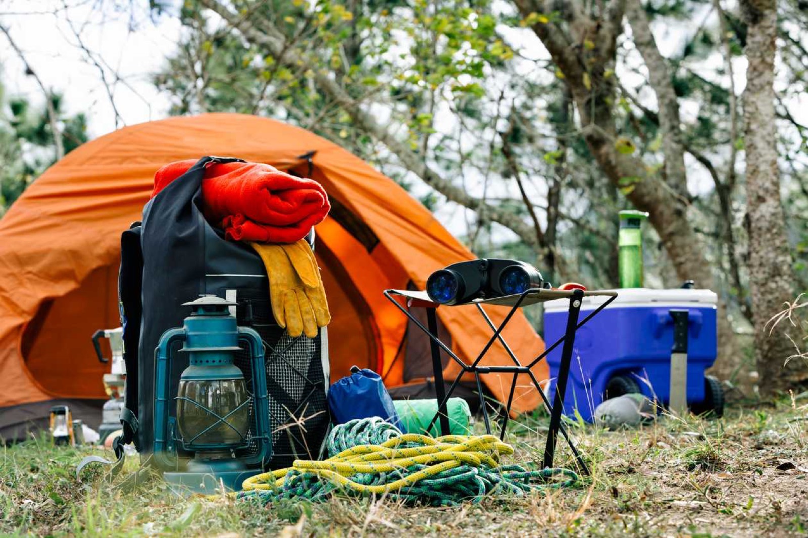 Camping gear and desert supplies
