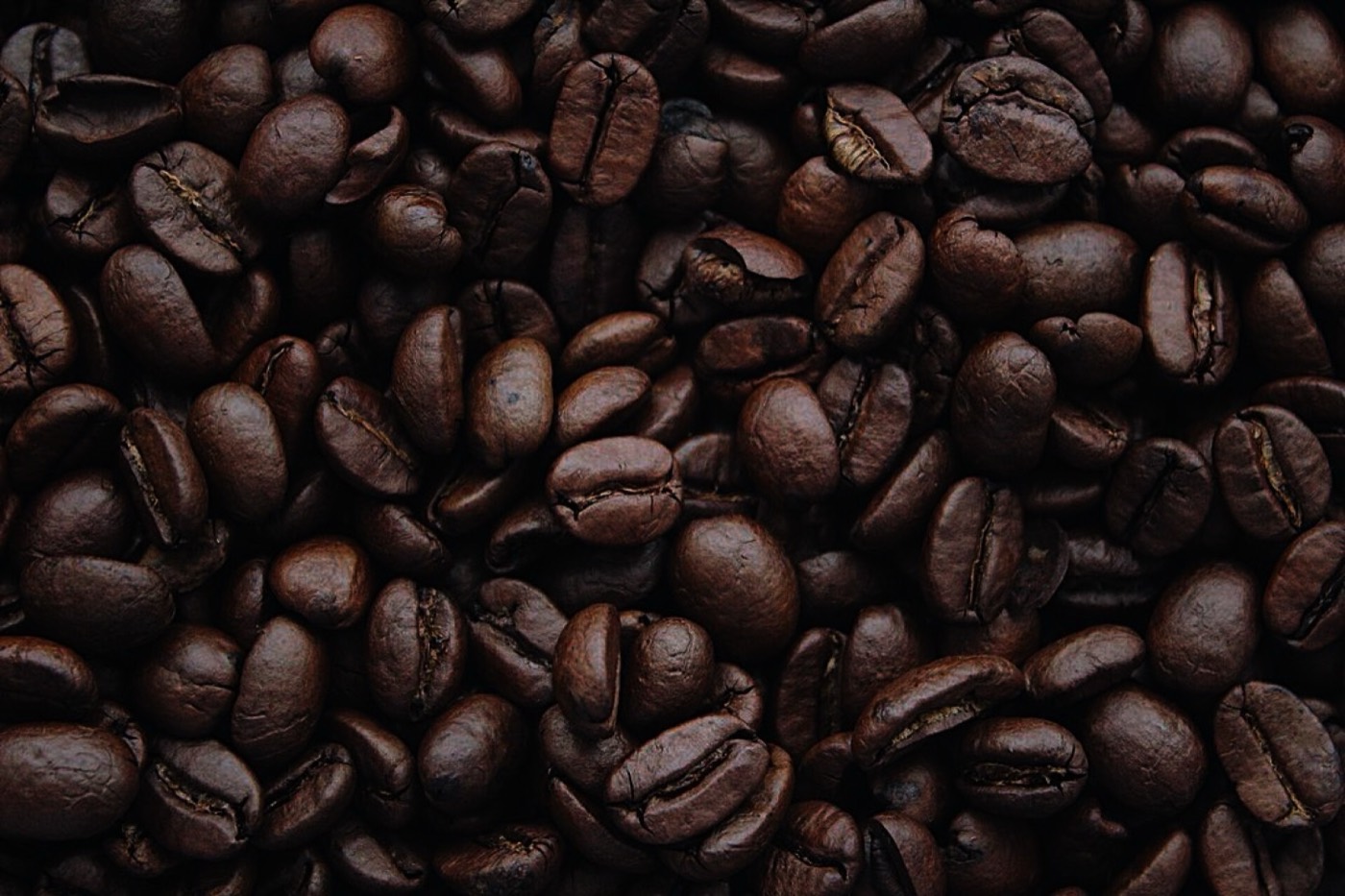 Fresh coffee beans