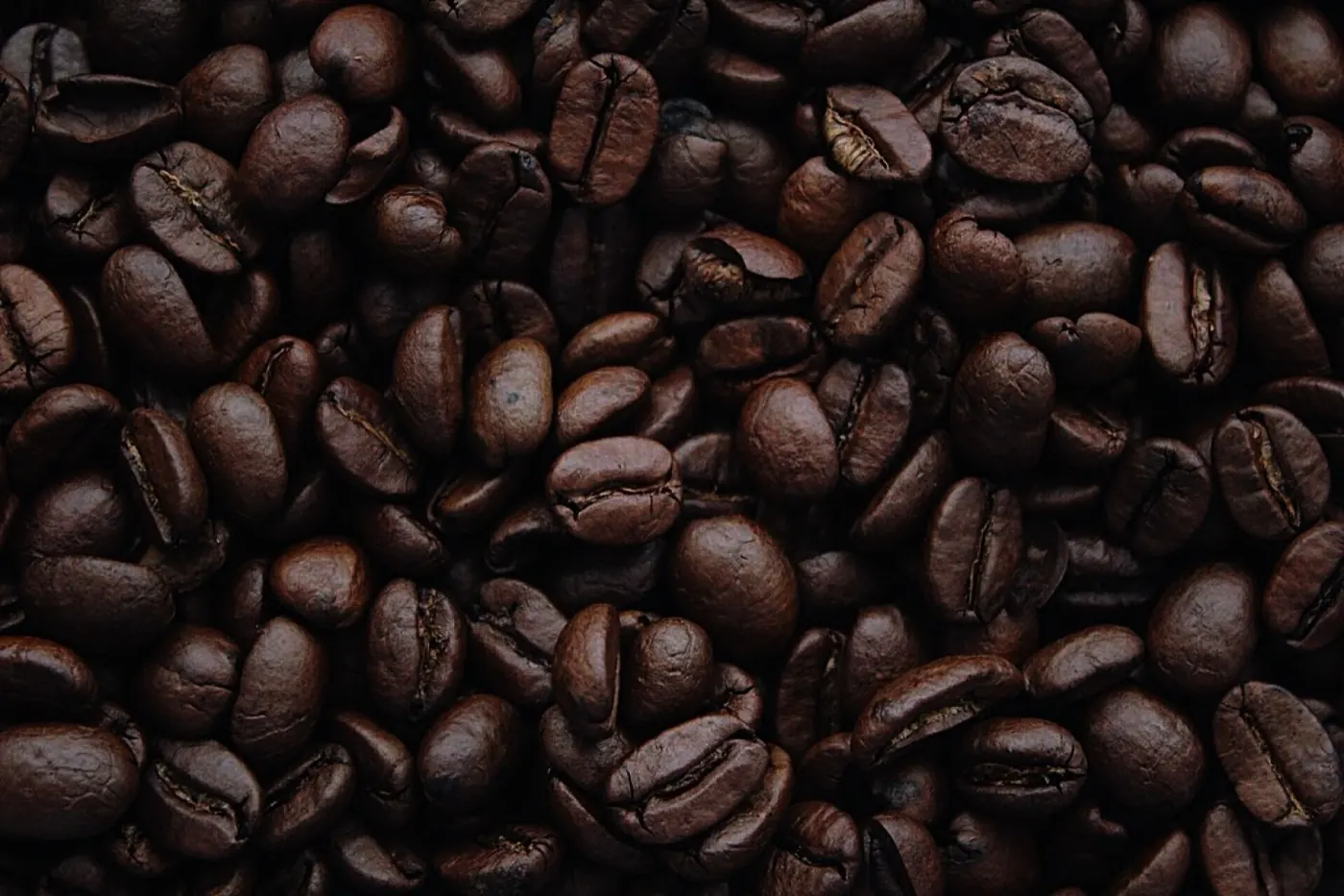 Fresh coffee beans