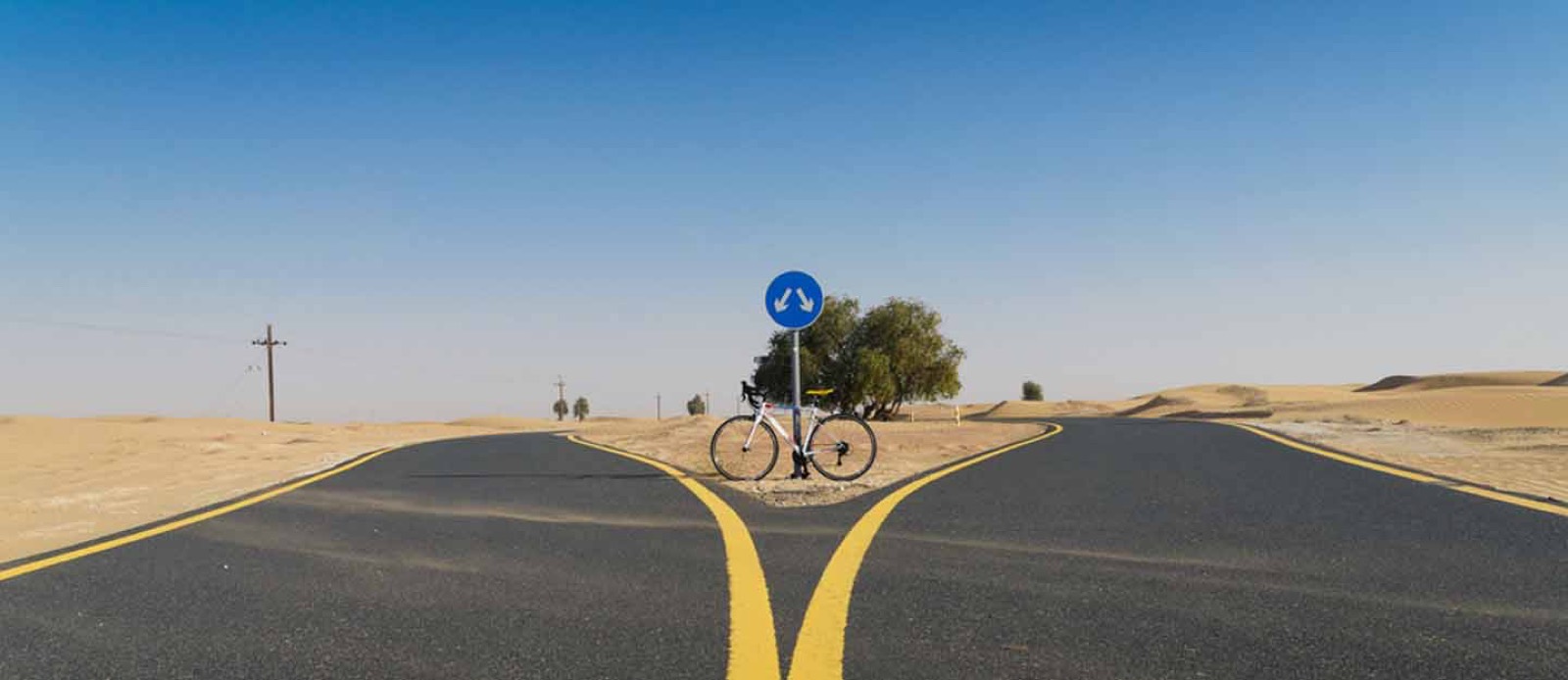 The Al Qudra cycle track
